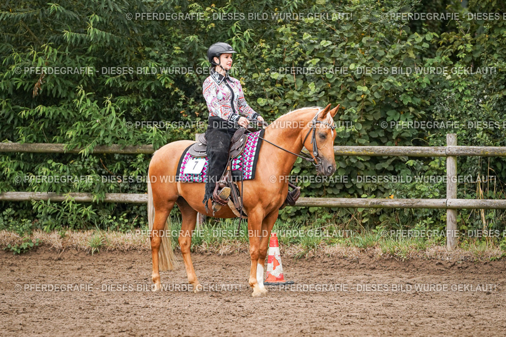 DSC05301 | Pferdegrafie