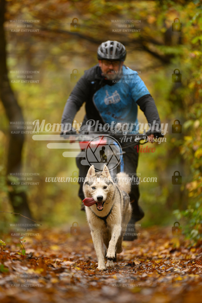 MompixPhotography_CD7S_DI_Bike-57 | mompixphotography