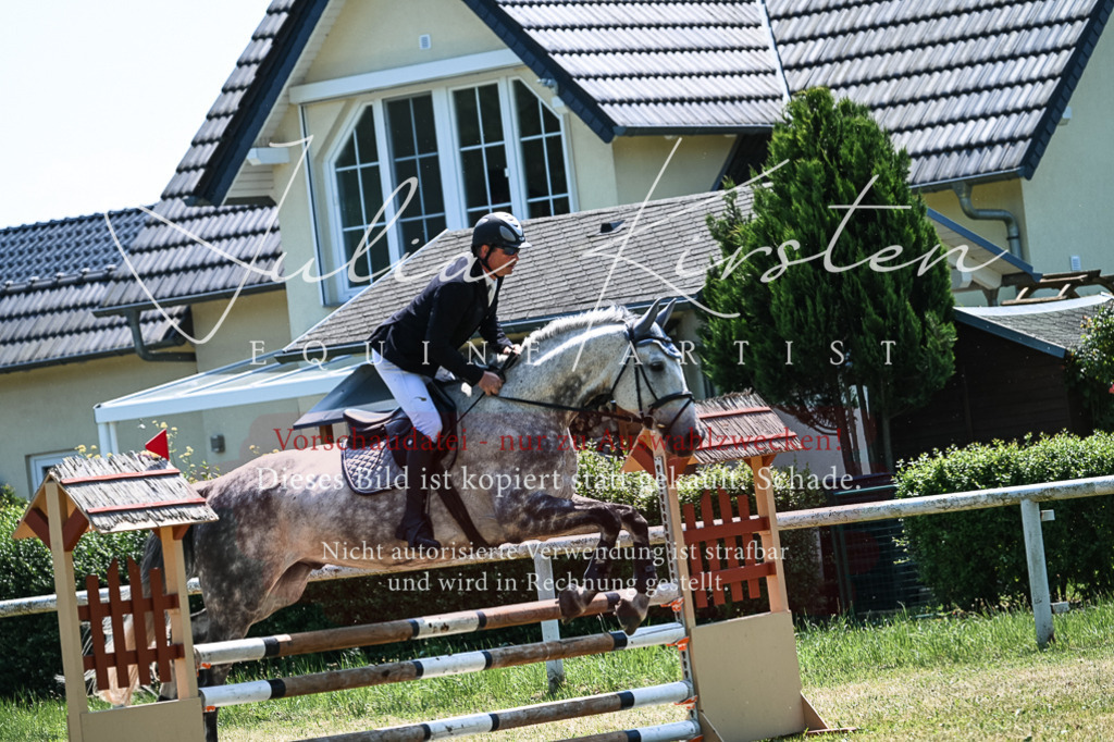 DSC_0041 | Pferde- und Turnierfotografie in Westsachsen. Pferdeportraits, Auftragszeichnungen und intuitive Kunst.