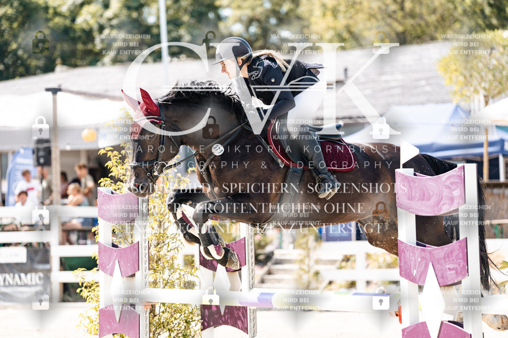 CK908810 | Turnierfotografie Pferdefotografie Trier Rheinland-Pfalz Pferdesport Reitsport Tierfotografie Sportfotografie Pferdevideo Pferdevideografie Equestrianvideography equestrianphotography  - Realisiert mit Pictrs.com
