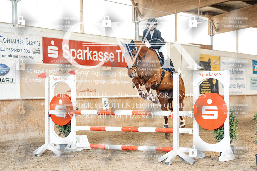 CK905030 | Turnierfotografie Pferdefotografie Trier Rheinland-Pfalz Pferdesport Reitsport Tierfotografie Sportfotografie Pferdevideo Pferdevideografie Equestrianvideography equestrianphotography  - Realisiert mit Pictrs.com