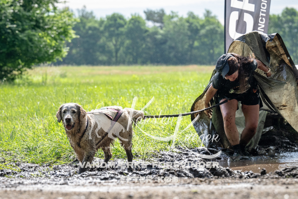 0914_ZZ90525 | kk-dogfotos