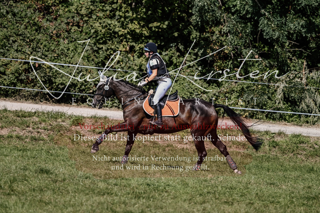 DSC_1781 | Pferde- und Turnierfotografie in Westsachsen. Pferdeportraits, Auftragszeichnungen und intuitive Kunst.