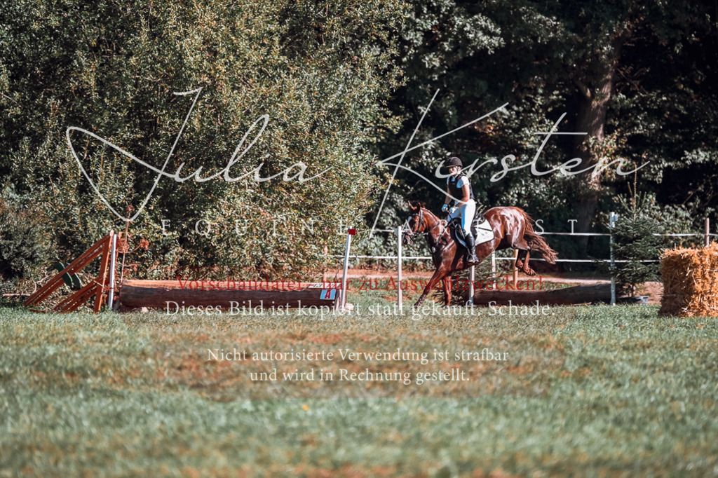 DSC_0763 | Pferde- und Turnierfotografie in Westsachsen. Pferdeportraits, Auftragszeichnungen und intuitive Kunst.