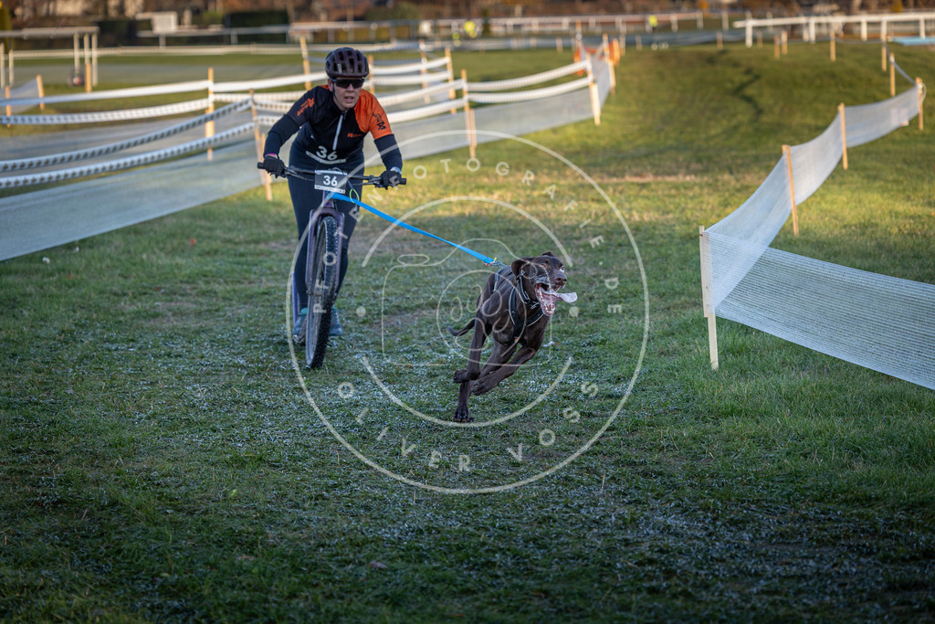 CaniXpix_0L8A2287 | Hundefotografie, Tierfotograf, Pfotenfotografie, Fotoshooting Hund, Hunde Portrait, Hundesport, Hundeportraits, Heideshooting, Hunde, Sportfotograf, Hundefotograf, Turnierhundsport, THS,  - Realisiert mit Pictrs.com