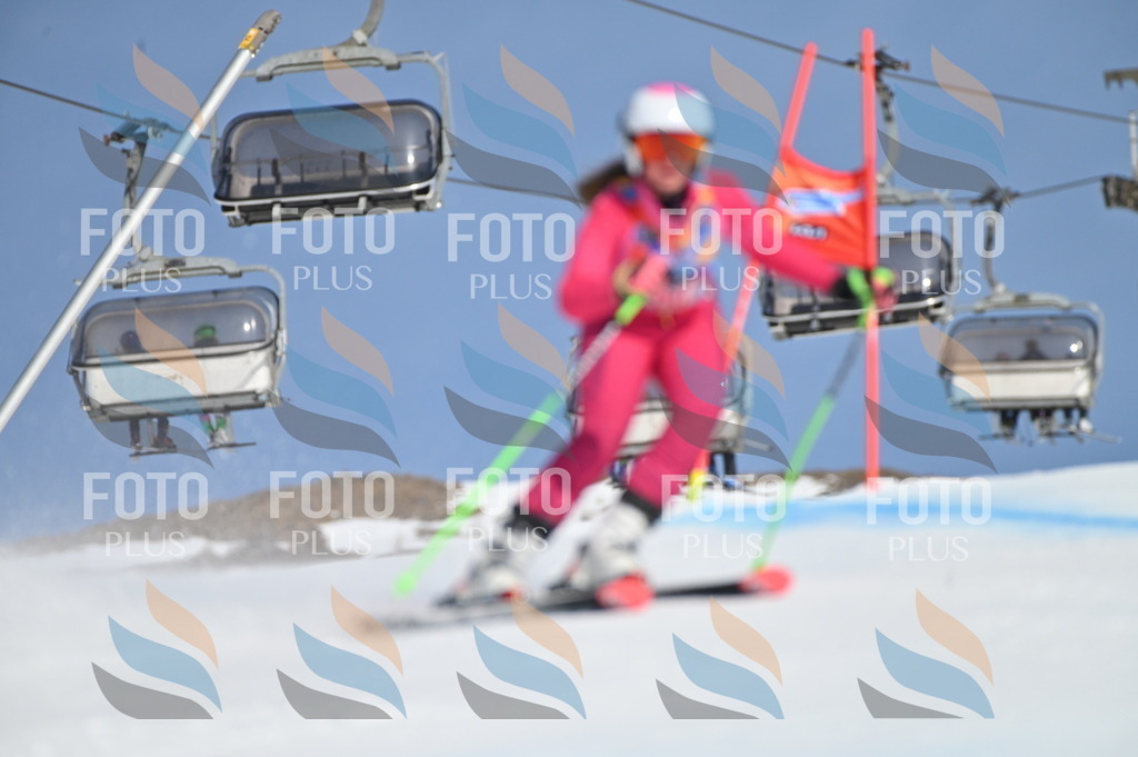 BGV_8719 | holidayphoto