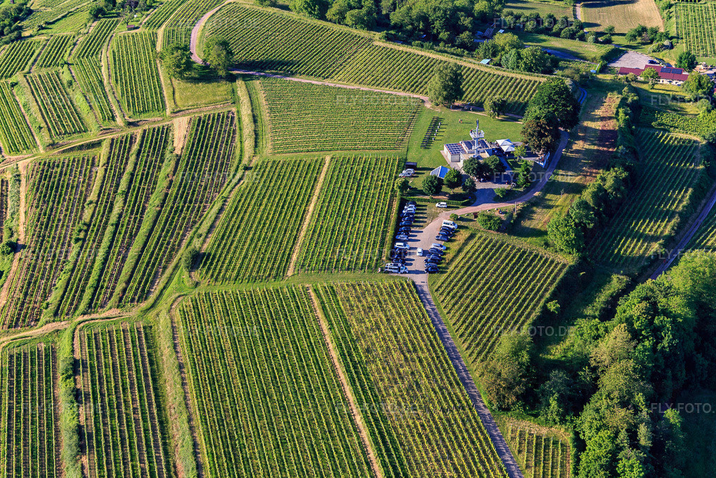 Aussichtsrestaurant Heubergturm / zum Heuberg auf dem Weinberg https://www.zumheuberg.de/ | Luftbild: Aussichtsrestaurant Heubergturm / zum Heuberg auf dem Weinberg https://www.zumheuberg.de/ in Ettenheim im Bundesland Baden-Württemberg in Deutschland. Foto: IMG_147747.jpg vom 30.05.2025 durch Werner Riehm/FLY-FOTO.de - Realisiert mit Pictrs.com