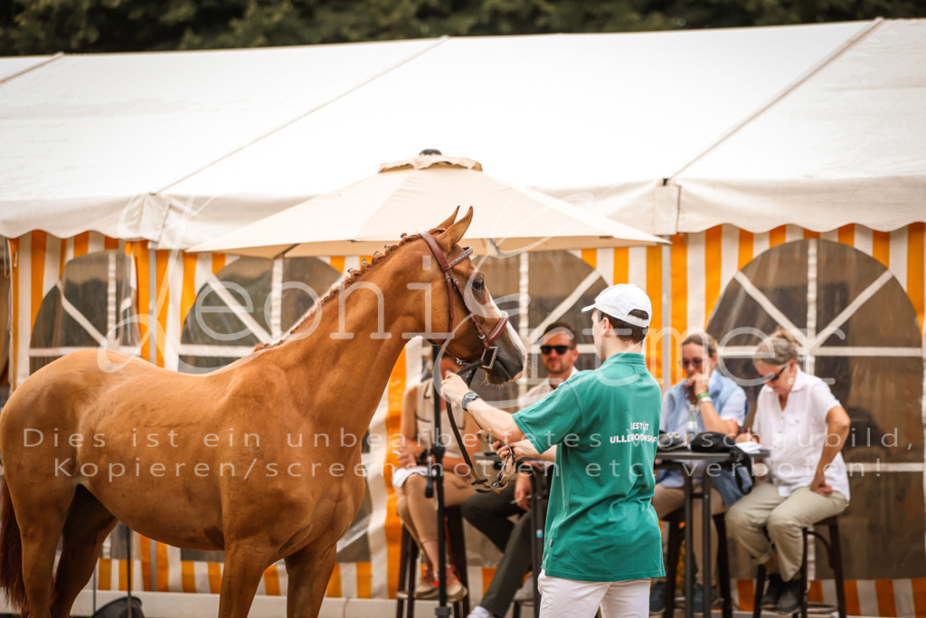 05.So00034 | Leoni Ertmer Photography - Realisiert mit Pictrs.com