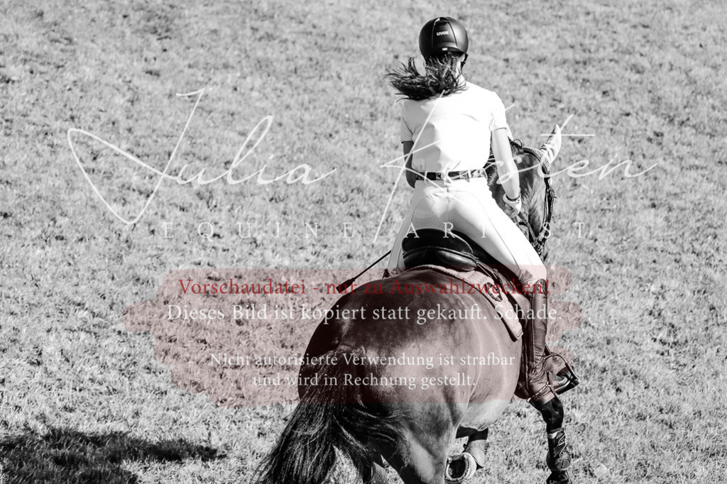DSC_2073 | Pferde- und Turnierfotografie in Westsachsen. Pferdeportraits, Auftragszeichnungen und intuitive Kunst.