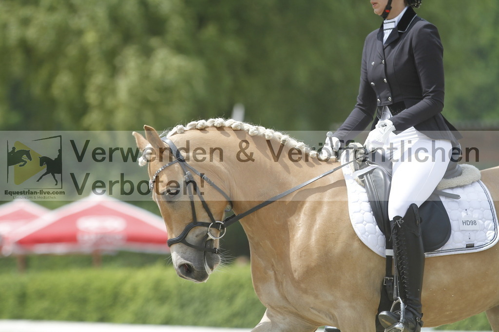 _MG_9538 | equestrian-live-com