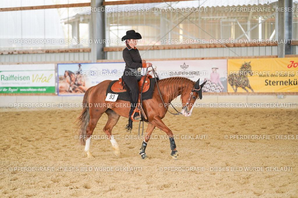 DSC02003 | Pferdegrafie