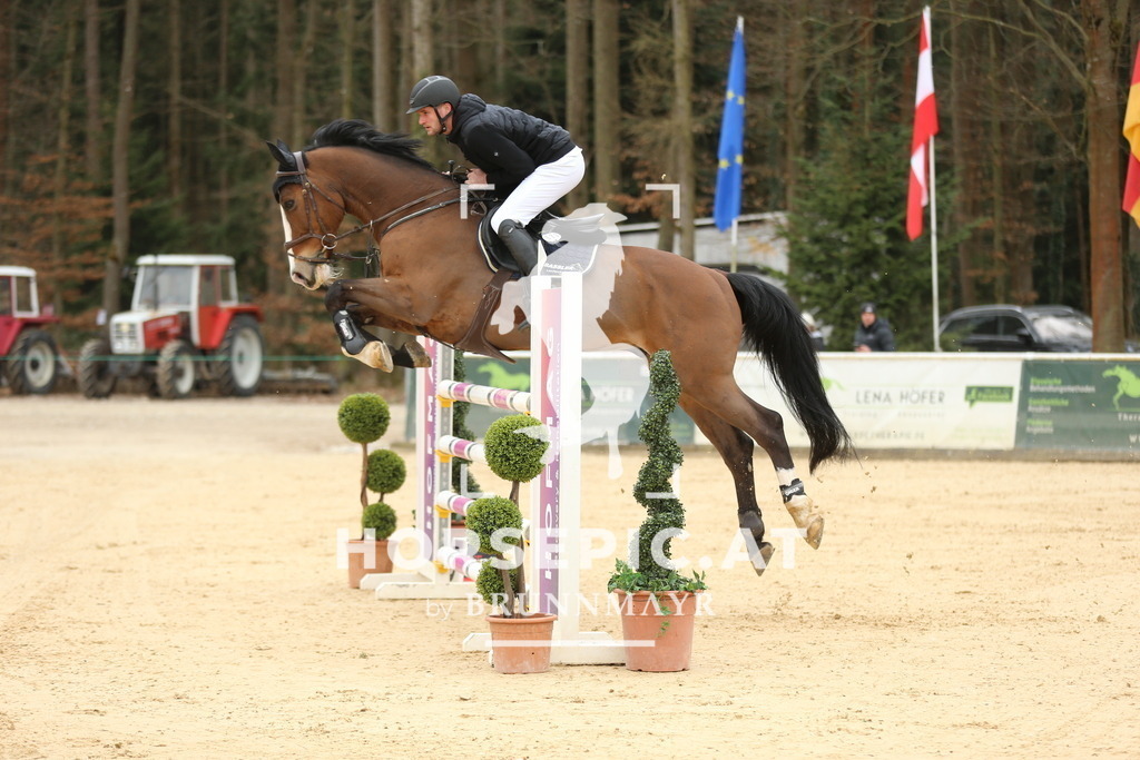 DL2Q5673 | Willkommen bei Brunnmayr - Design & Fotografie – Ihrem Spezialisten für Reitturniere und Pferdeveranstaltungen in Oberösterreich, Salzburg und Bayern! Seit über 17 Jahren sind wir leidenschaftlich dabei.
