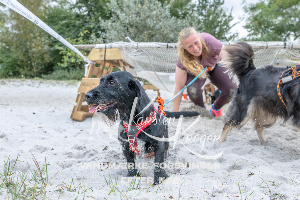 1123_ZZ96316 | kk-dogfotos