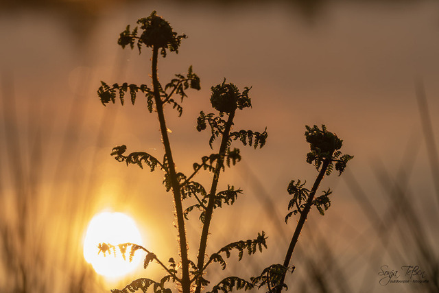 A7304127 | Outdoorpixl Teßen OHG - Realisiert mit Pictrs.com
