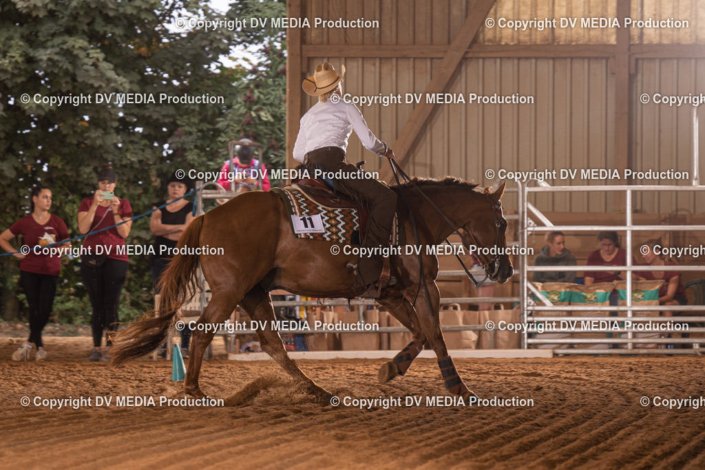 NID01184 | dv-media-shop - Realisiert mit Pictrs.com