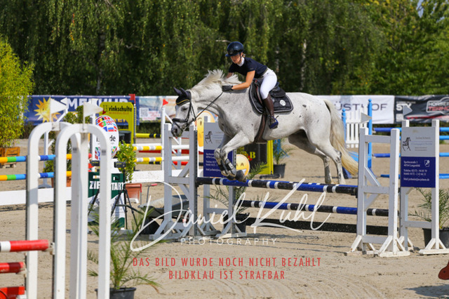 Gut Blee25_Amateuer Stilsprpfg Kl A_0284 | Turniersportfotografie; Pferdefotografie; Dressurfotografie