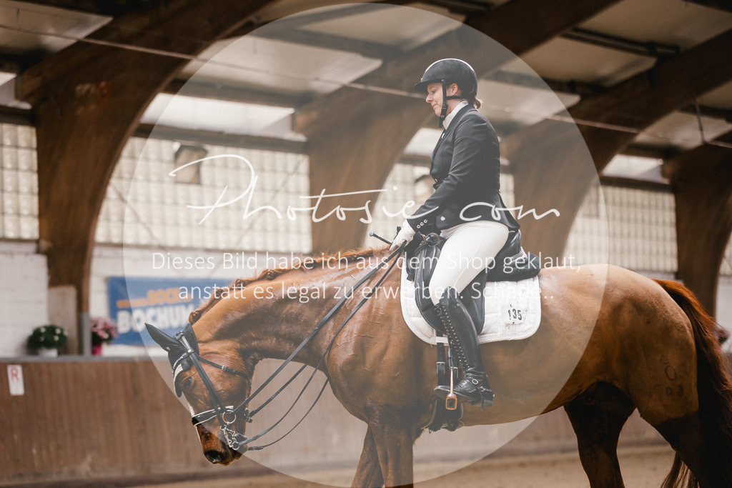 3I6A8959 | Stimmungsvolle Portraits und Reitsportfotografie im Ruhrgebiet und im Münsterland.

Pferdefotografie, Hundefotografie, Tierfotografie, Reportagen, Portraits von Tier und Mensch, Turnierfotografie in Bochum, Recklinghausen, Marl, Haltern am See, Dülmen.. - Realisiert mit Pictrs.com