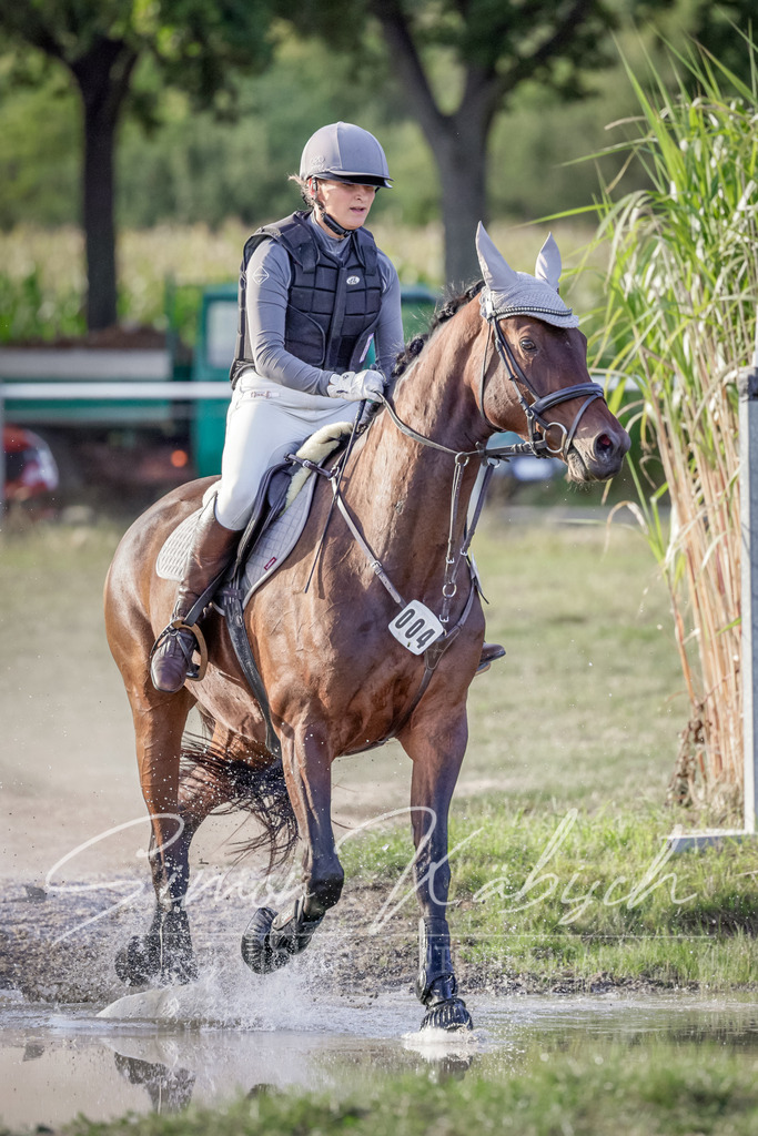 20250906-_3LI7863 | Tierfotografie Pferde, Hunde, Katzen, Haustiere.
Turnierfotografie Reitturniere, Reiten, Springreiten, Dressur in Hanau, dem Main-Kinzig-Kreis und dem Rhein-Main- Gebiet um Frankfurt