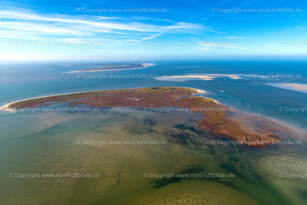 Memmert_ELS_6614091022 | JUIST 09.10.2022 Kurvenförmige Schleifen mehrerer Fluss- Verläufe auf der grünen naturgeschützten Nordsee- Insel Memmert bei Juist mit Wattenmeer und vorgelagerter Sandbank Kachelotplate im Bundesland Niedersachsen. // Curved loops of several converging rivers flowing into the Wadden Sea on the green environmentally protected North Sea island Memmert in Juist and the sandbank Kachelotplate in the state Lower Saxony. Foto: Martin Elsen