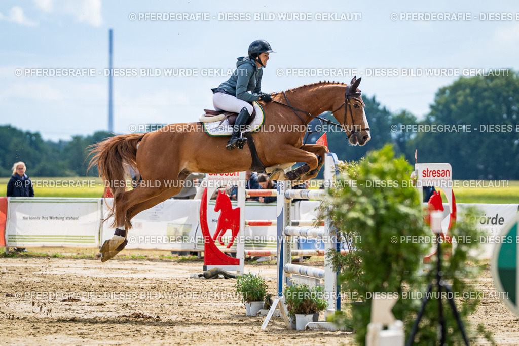 DSC05896 | Pferdegrafie