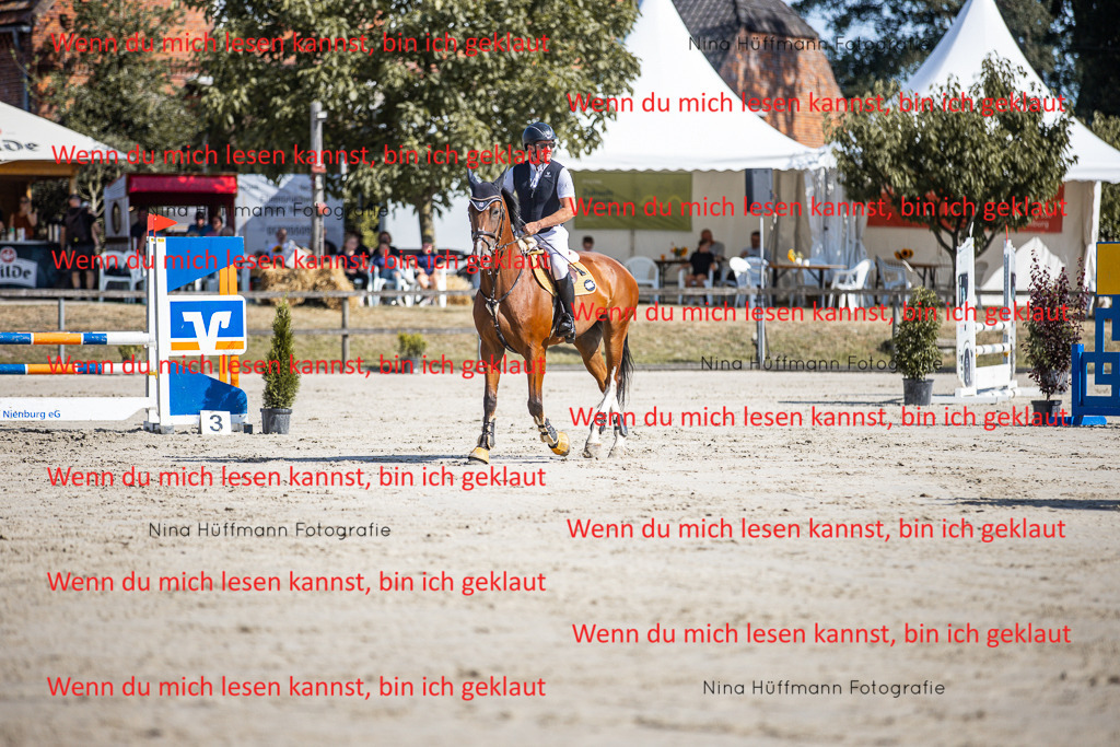 BK1A7063 | Turnierbilder Turnierfotos Nina Hüffmann Turnierfotografie Pferdefotografie Tierzeichnung Haustierzeichnung Pferdezeichnung Hundezeichnung Videograf  - Realisiert mit Pictrs.com