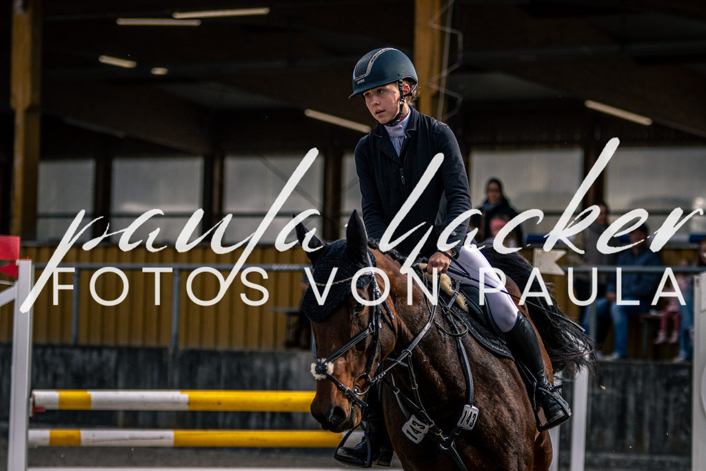 IMG_5885 | Erleben Sie dynamische Sport- und emotionale Tierfotografie in Süddeutschland mit Fotos von Paula. Spezialisiert auf Pferde- und Hundefotografie sowie Sportevents. Kontaktieren Sie mich für einzigartige und ausdrucksstarke Bilder Ihrer besonderen Momente. - Realisiert mit Pictrs.com