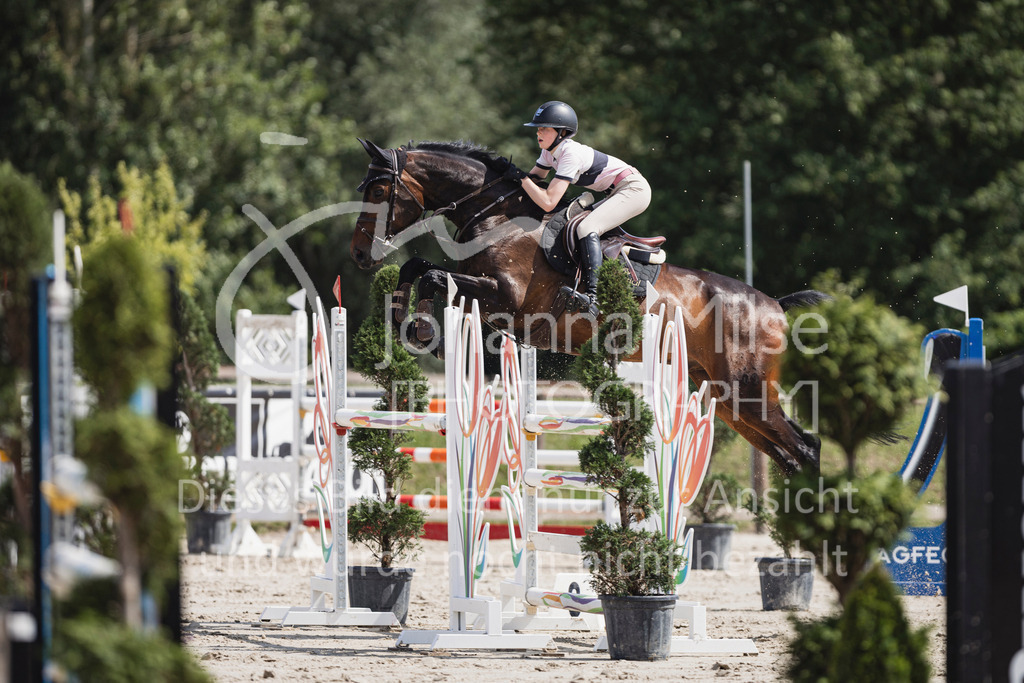 250629_PfSpTa_2Ph-M1-799 | Deine schönsten Turniermomente als professionelle Fotos! Entdecke hochwertige Pferdesport-Fotografie im Online-Shop. Jetzt Fotos finden & bestellen!