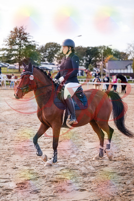 2026_10_03_Siefer-Hof_145536_Z81_36955772 | Professionelle Reitsport-, Turnier- und Eventfotografie von Robert Broda. Galerien mit ausgewählten und bearbeiteten Bildern direkt online ansehen und bestellen.