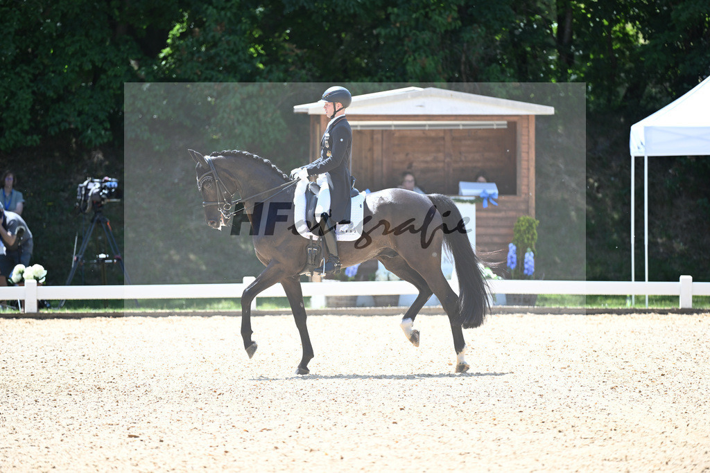 Netz_DSP Dieudonne_11254923 | hf-fotografie - Realisiert mit Pictrs.com