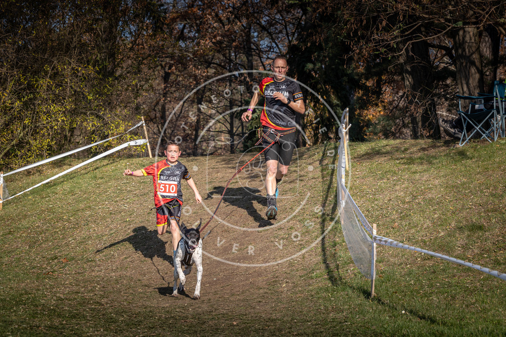 CaniXpix_0L8A8331 | Hundefotografie, Tierfotograf, Pfotenfotografie, Fotoshooting Hund, Hunde Portrait, Hundesport, Hundeportraits, Heideshooting, Hunde, Sportfotograf, Hundefotograf, Turnierhundsport, THS,  - Realisiert mit Pictrs.com