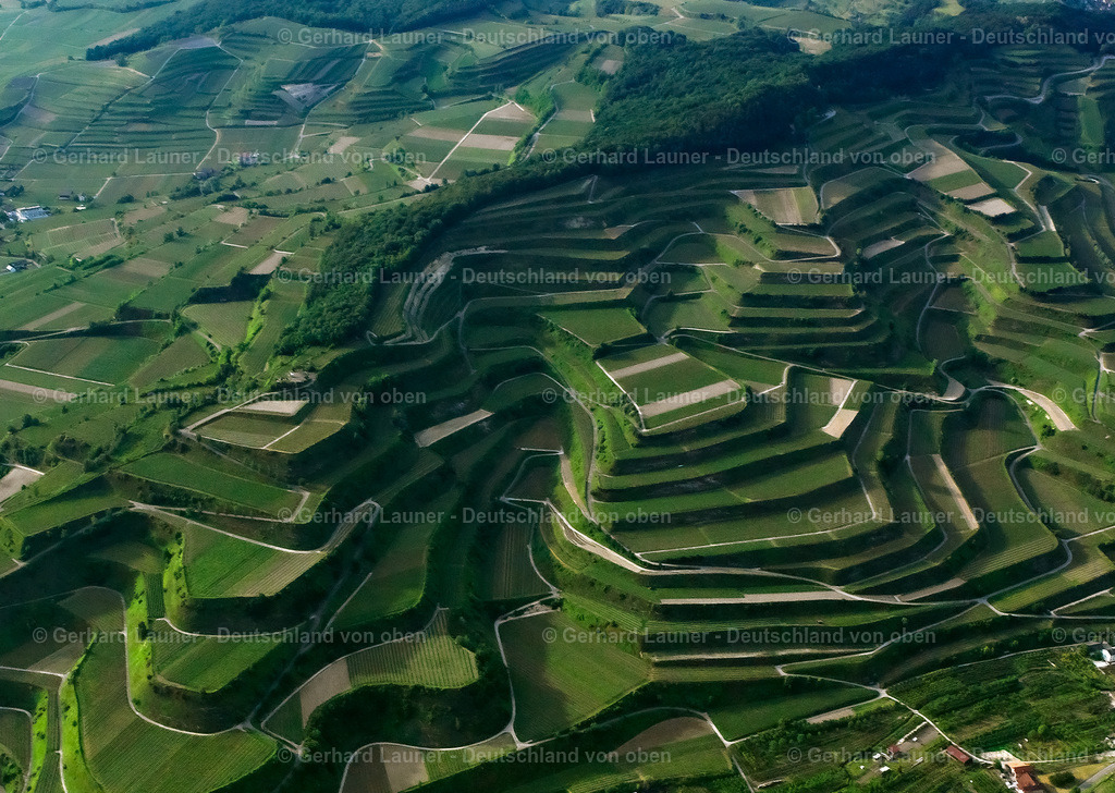 2597018 | Terassenweinberge am Kaiserstuhl bei Oberrotweil