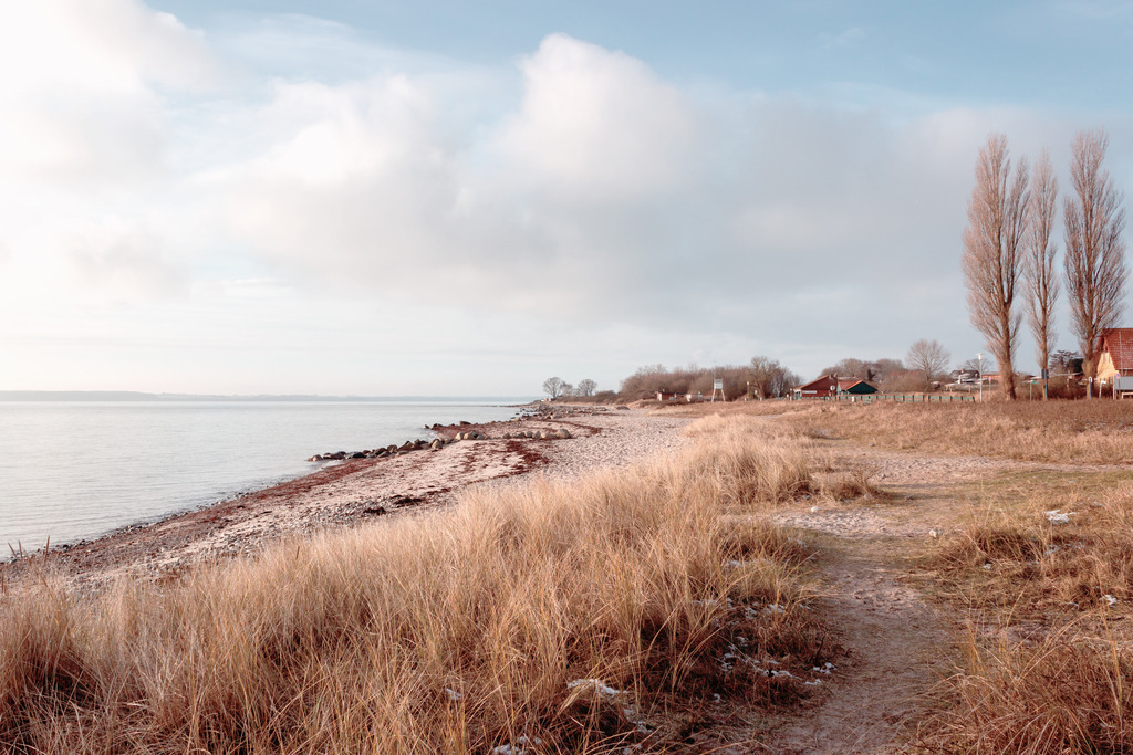 Wanbild: Wanderweg am Meer | Dieses Wandbild im Querformat zeigt einen Weg direkt am Meer. Zwischen Weg und Meer befindet sich ein kleines Feld aus Strandhafer. Am pastellartigen blauen Himmel befinden sich schöne weißgraue Wolken. In der Ferne kann man auf der rechten Seite drei schöne Bäume sehen. Durch die dezenten Farben passt dieses maritime Wandbild zu fast jedem Einrichtungsstil. Dieses Wandbild ist auf Leinwand, Alu-Dibond, Acrylglas oder als Holzdruck erhältlich. Die Wandbilder werden individuell für Sie in vielen Abmessungen produziert. Daher passen die Ostseekult Wandbilder immer perfekt an Ihre Wände. - Realisiert mit Pictrs.com