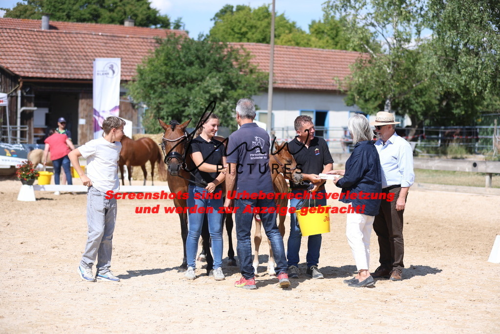 Fohlenschau_Schwäbisch_Hall_Ponys_SIEGERFOHLEN_KN 42_1 | lmwpictures - Realisiert mit Pictrs.com
