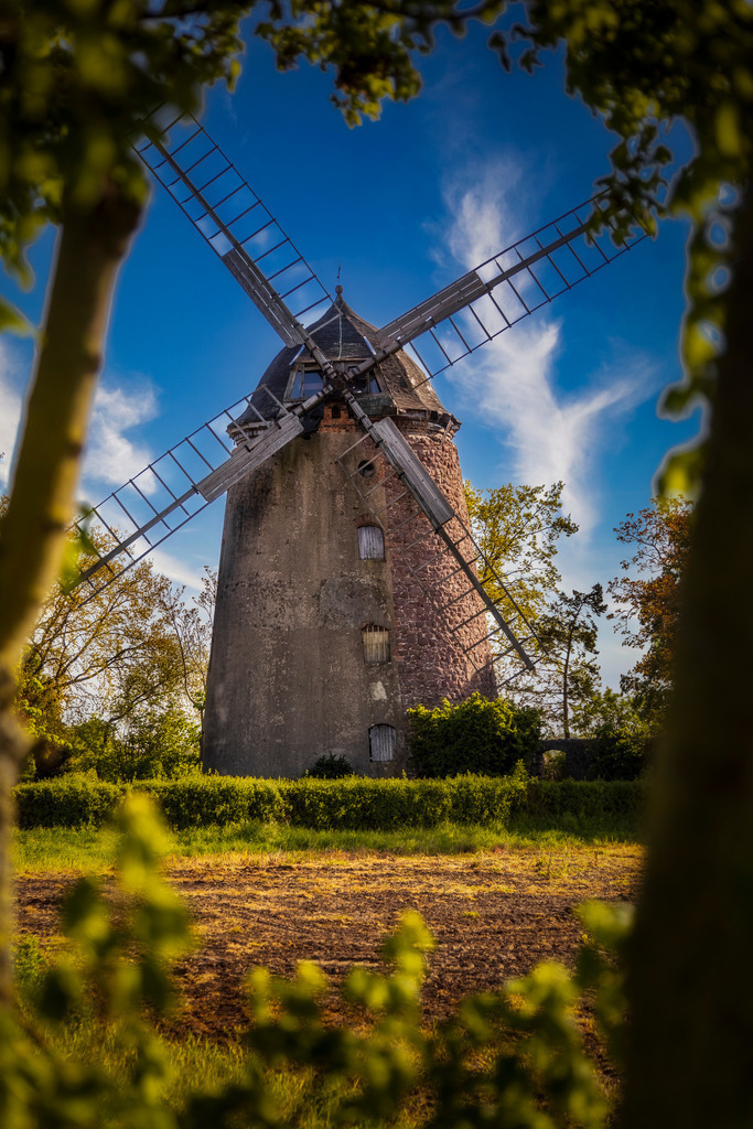 Holländer Windmühle bei Scharsleben | Wir machen aus Ihren Bildern Erinnerungen für die Ewigkeit | Hochwertige Fotografien für Ihr zu Hause. - Realisiert mit Pictrs.com