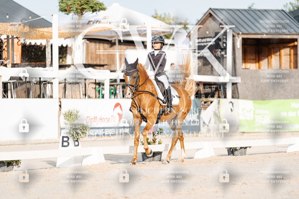 CK903693 | Turnierfotografie Pferdefotografie Trier Rheinland-Pfalz Pferdesport Reitsport Tierfotografie Sportfotografie Pferdevideo Pferdevideografie Equestrianvideography equestrianphotography  - Realisiert mit Pictrs.com