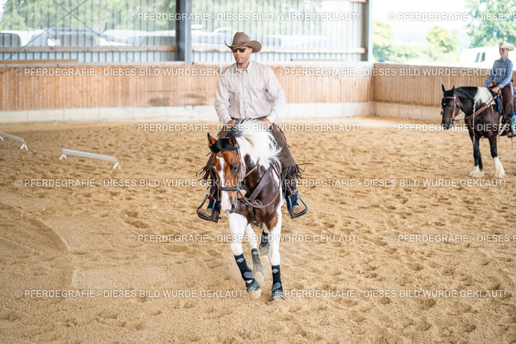 DSC02224 | Pferdegrafie