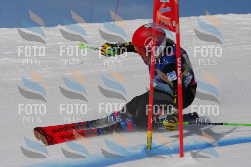 _W1G0219 | holidayphoto