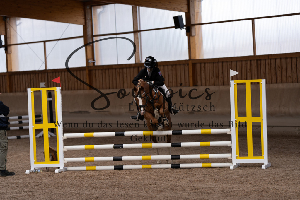 A7507397 | Pferdefotograf