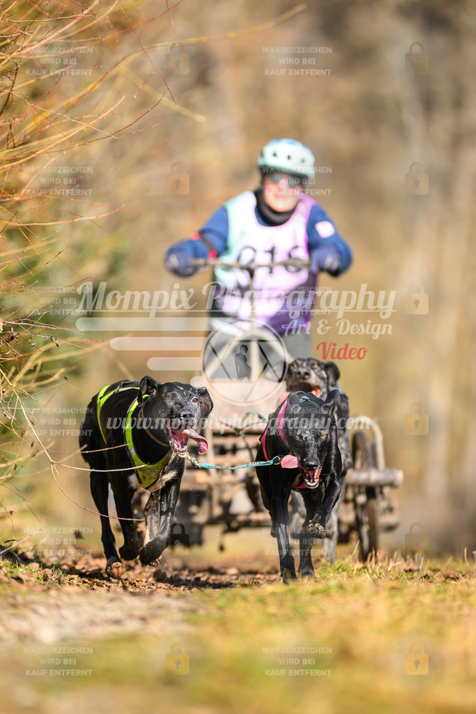 MompixPhotography_Schwabentrail2025_SO_Kart-21 | PayLife