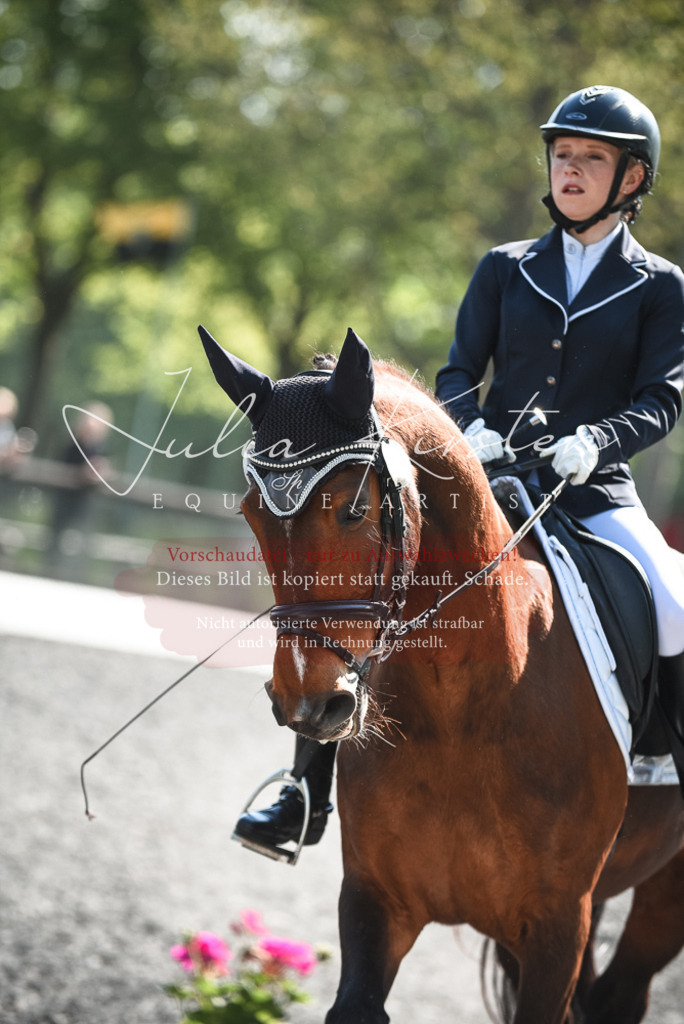DSC_8880 | Pferde- und Turnierfotografie in Westsachsen. Pferdeportraits, Auftragszeichnungen und intuitive Kunst.