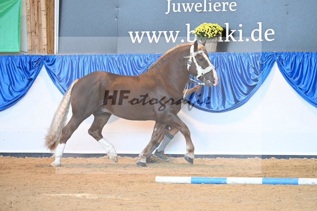Kat-Nr. 96 Vom Forggensee_Kotz_53220597 | hf-fotografie - Realisiert mit Pictrs.com