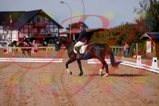 2026_10_03_Siefer-Hof_113439_Z81_79380080 | Professionelle Reitsport-, Turnier- und Eventfotografie von Robert Broda. Galerien mit ausgewählten und bearbeiteten Bildern direkt online ansehen und bestellen.