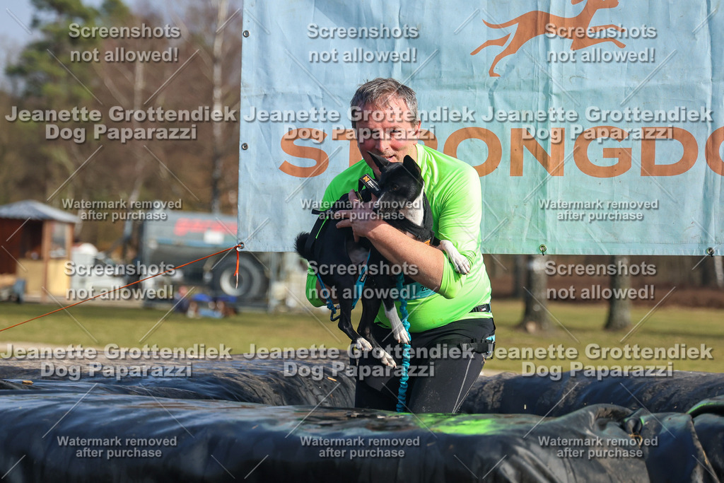 Dog Paparazzi - Strongdog North Mrz26-2656 | Dog Paparazzi Jeanette Grottendiek Fotografie & Videografie - Realisiert mit Pictrs.com