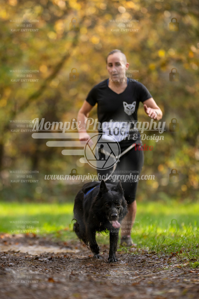 MompixPhotography_Bischwiller23_Canicross-70 | PayLife