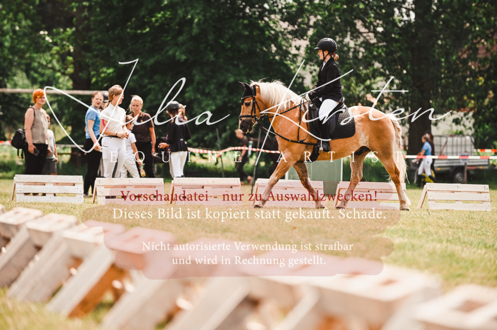 DSC_6294 | Pferde- und Turnierfotografie in Westsachsen. Pferdeportraits, Auftragszeichnungen und intuitive Kunst.