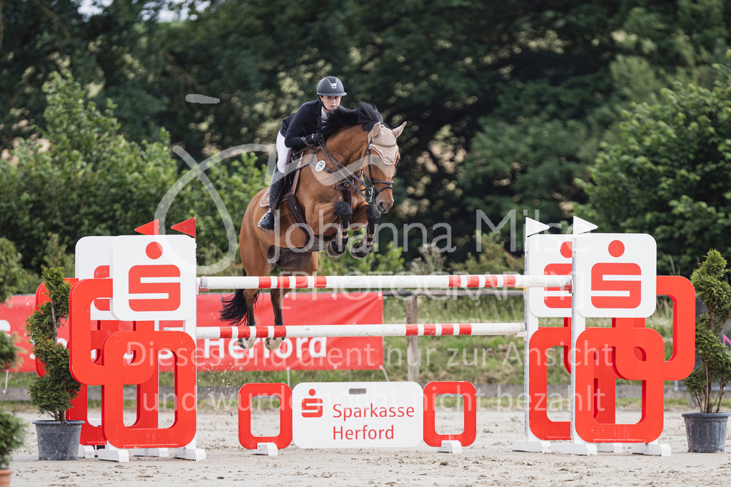 250628_PfSpTa_GP-664 | Deine schönsten Turniermomente als professionelle Fotos! Entdecke hochwertige Pferdesport-Fotografie im Online-Shop. Jetzt Fotos finden & bestellen!