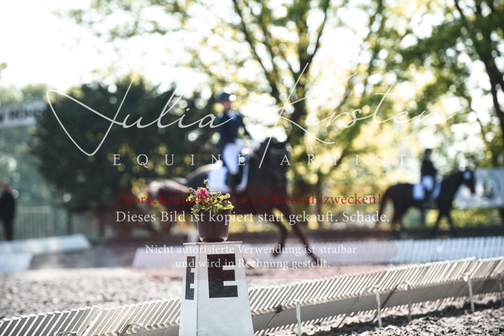 DSC_8590 | Pferde- und Turnierfotografie in Westsachsen. Pferdeportraits, Auftragszeichnungen und intuitive Kunst.