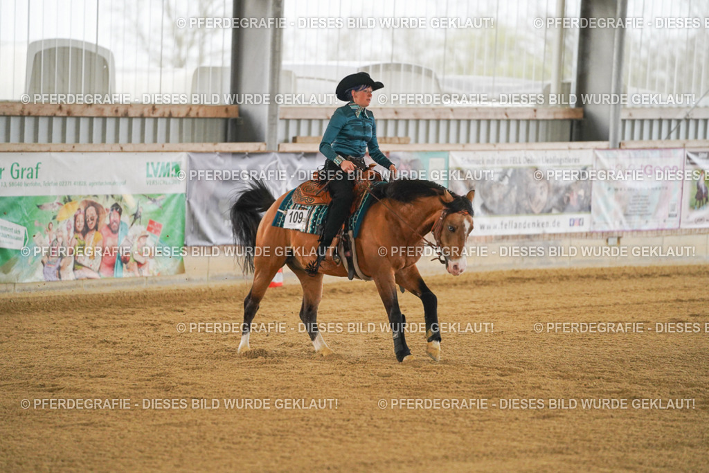 DSC08490 | Pferdegrafie