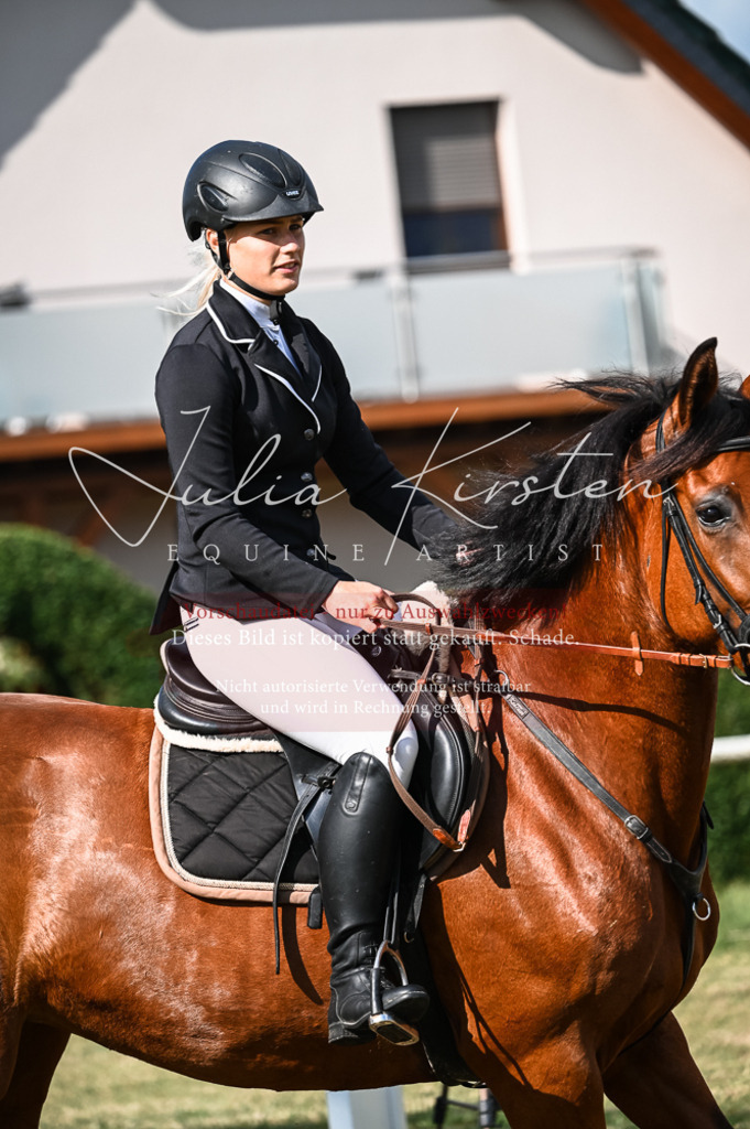 DSC_7798 | Pferde- und Turnierfotografie in Westsachsen. Pferdeportraits, Auftragszeichnungen und intuitive Kunst.