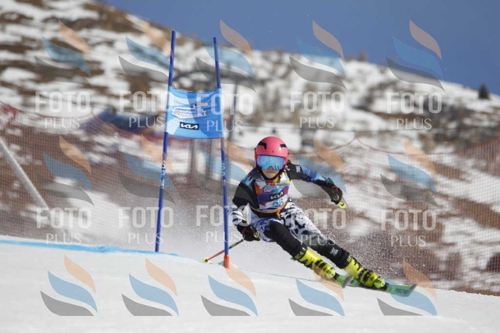 _U3G8993 | holidayphoto